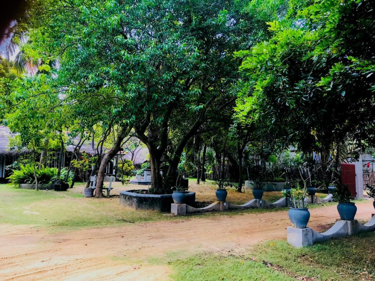 Werala Beach Resort Kalpitiya Ngoại thất bức ảnh