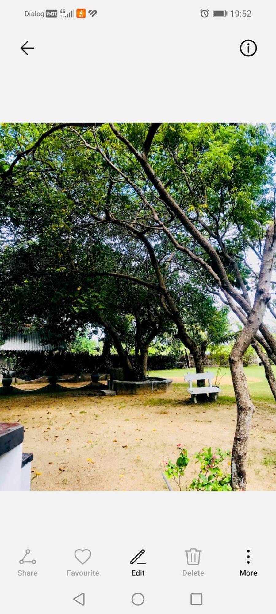 Werala Beach Resort Kalpitiya Ngoại thất bức ảnh