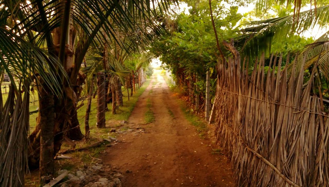 Werala Beach Resort Kalpitiya Ngoại thất bức ảnh